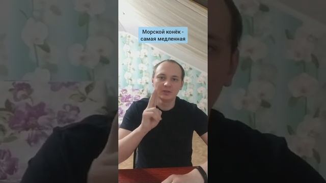 Факт "Морской конёк" 8 серия #рекомендации #топ #тренды #факты смотреть онлайн