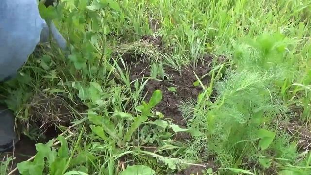 Коп с дочкой оператором! смотреть онлайн