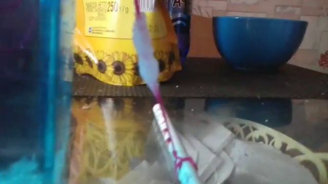 Мой Кристалл из соли смотреть онлайн