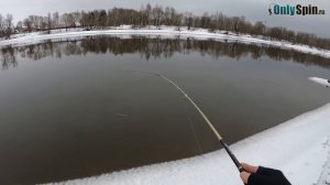 ЗИМНИЙ ЖЕРЕХ. Поклевка ОТДАЙ СПИННИНГ. Рыбалка с #OnlySpin