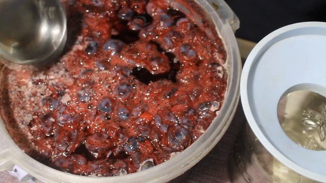 ТЕРНОСЛИВ КВАШЕНЫЙ смотреть онлайн