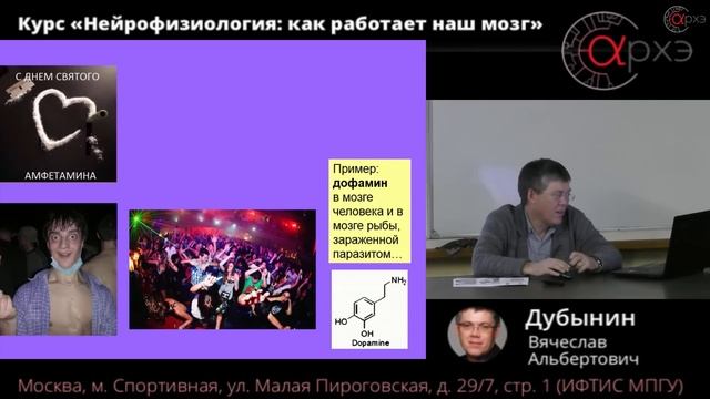 Вячеслав Дубынин: "Нейроны и нейросети" смотреть онлайн