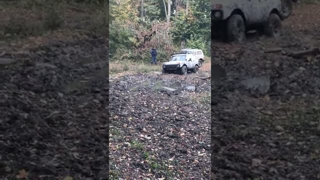 17 октября 2023 г. смотреть онлайн