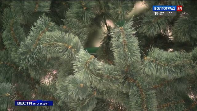В центре Волгограда устанавливают елку смотреть онлайн