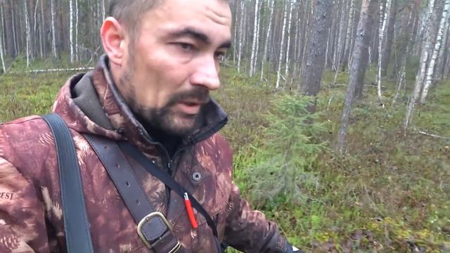 Охота на Глухаря и рябчика с подхода без собаки. Поход в тайгу. смотреть онлайн