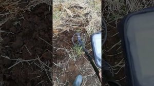 С металлоискателем nokta makro simplex plus, vdi