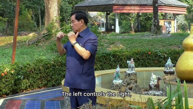 The Inner Alchemy of Tai Chi Qigong with Tao Grandmaster Mantak Chia. Energy cultivation practice. смотреть онлайн