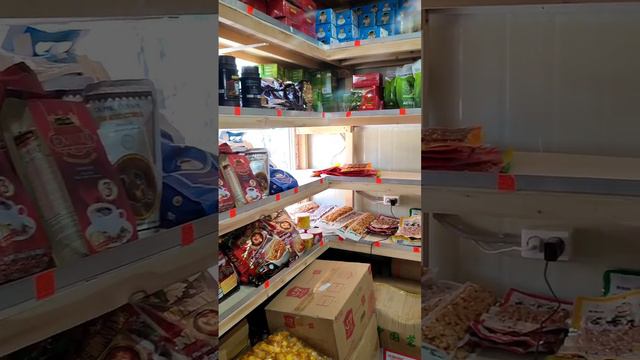 Entertaining Game Kingdom