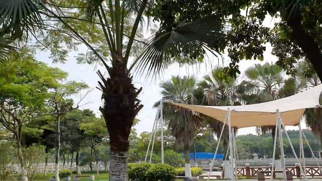 Amazing Fujian : Piano Museum In Gulangyu Island