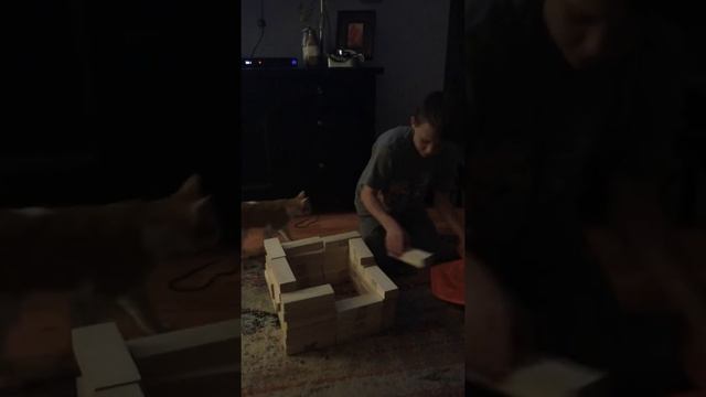 Cat fortress Jenga (part 1) смотреть онлайн