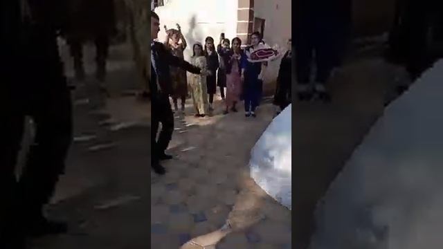 Tajigistan Turkmen toyy (Şhatlyk & Gulovser) смотреть онлайн