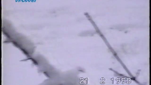 Werneuchen, Deutschland 1992-93