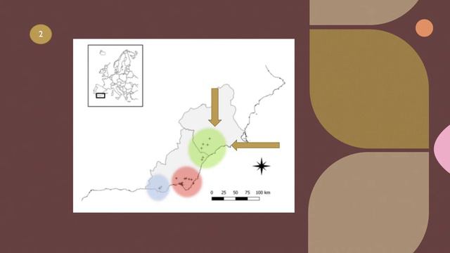 Conociendo a Ziziphus lotus смотреть онлайн