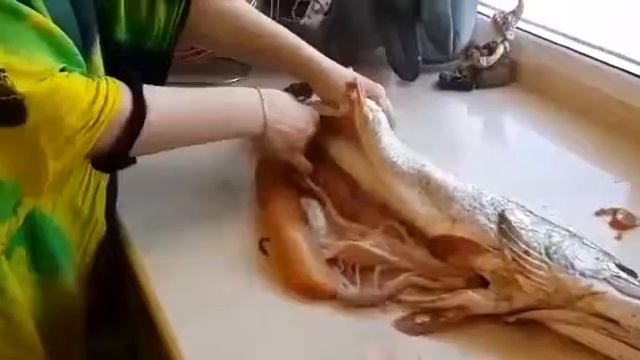 Вот так надо ходить на рыбалку! смотреть онлайн