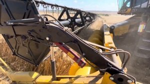 Комбайн New Holland CX 8.80 на уборке пшеницы