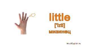 Английские слова о теле человека. English cards - body.