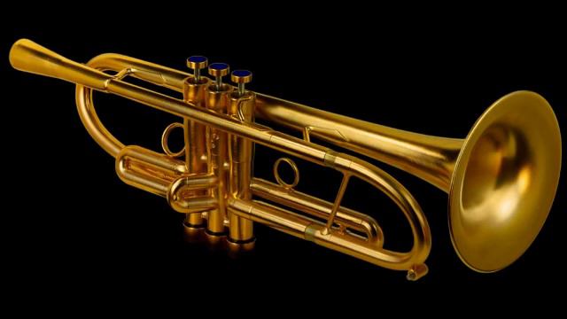 Echeveria, Jose Andry T.Don`t Cry For Me Argentina   Trumpet