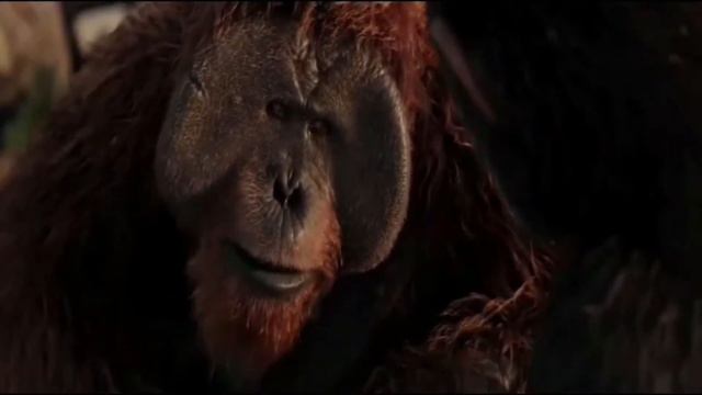 Michael Giacchino - Exodus Wounds (War for the planet of the Apes)|Cover смотреть онлайн