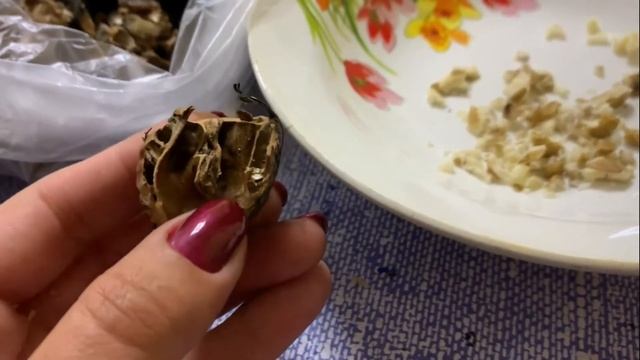 Сладость из плодов субтропических деревьев. смотреть онлайн