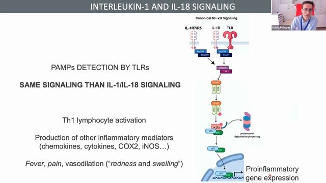 EUniWell Open Lecture Series | "Inflammation" | Prof. Pablo Pelegrín смотреть онлайн