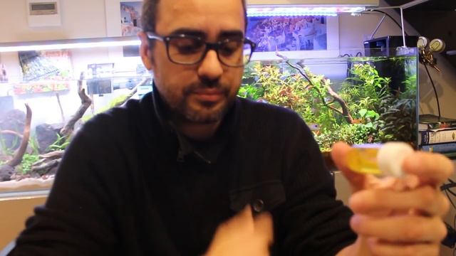 Guía básica acuario plantado: Como abono NPK en mi acuario смотреть онлайн