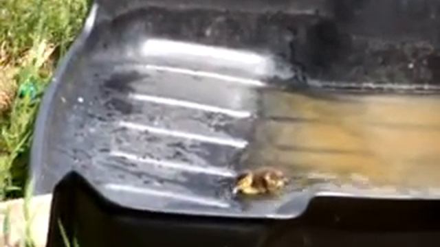 Утят по осени считают смотреть онлайн