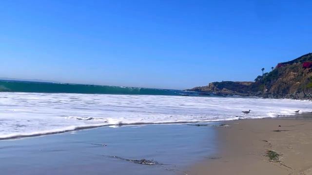 WorklOut Music 2022 with Ocean Background Healthy Workout Music with Ocean Sound Ocean Background смотреть онлайн