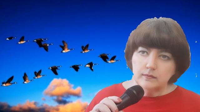 Перелётная птица. Наталья Потаева. смотреть онлайн