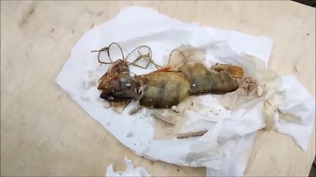 Окунь горячего копчения смотреть онлайн