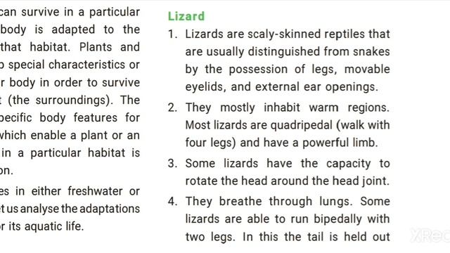 6th standard science Term I Lesson no 5. Living world of animals. смотреть онлайн