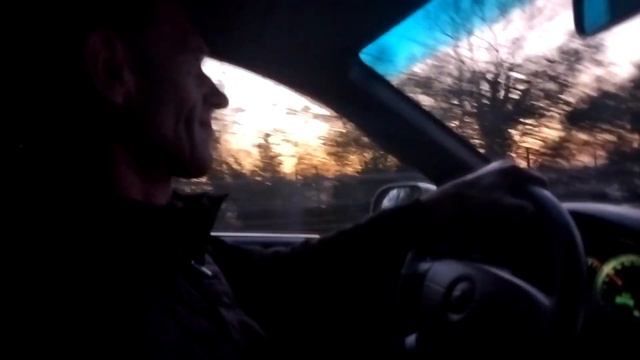 Одинокая ветка сирени, едем домой и поем! смотреть онлайн