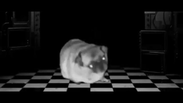 Грустный мопс денсит под музыкальную шкатулку Fnaf 2/ Sad Pug Dancing To The Music Box Fnaf 2 смотреть онлайн