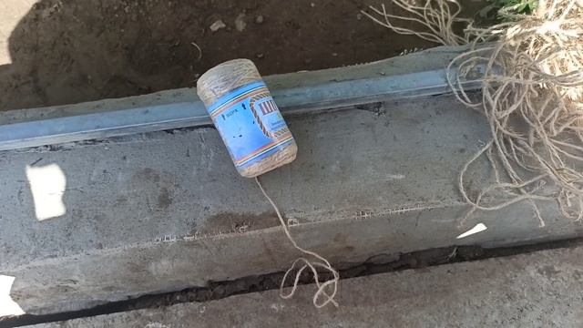 Помідори,огірки підливаю,щоб гарно росли.@ Троянда