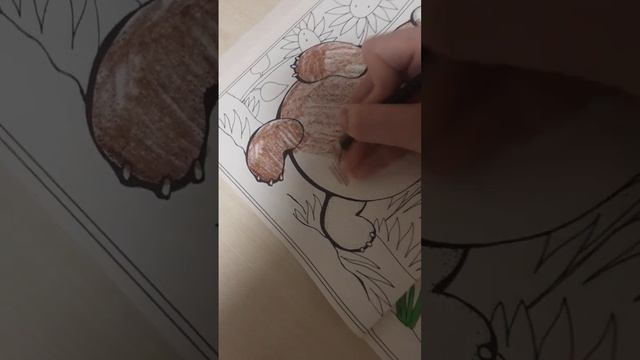 Моё хобби-рисование, а твоё?? смотреть онлайн