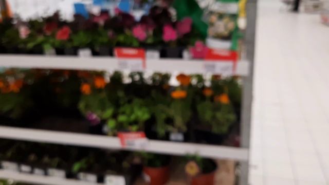 АШАН.ОБЗОР ОРХИДЕЙ //27 05 24// смотреть онлайн