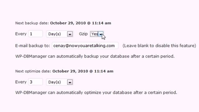 WP-DBManager Wordpress Plugin Installation and Setup смотреть онлайн