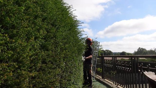 STIHL HLA 135 PRO Hedgetrimmer/Heddger смотреть онлайн
