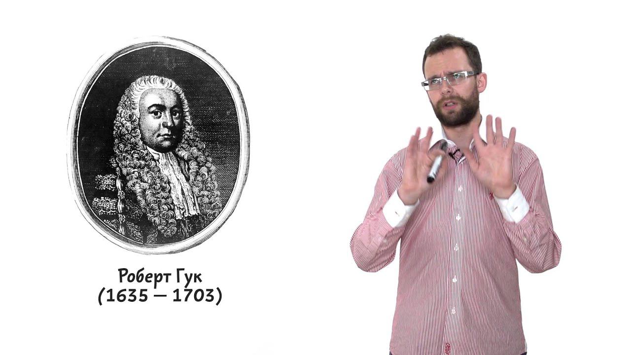 2.1 Ископаемые. Естествознание - 10 - 11 класс смотреть онлайн