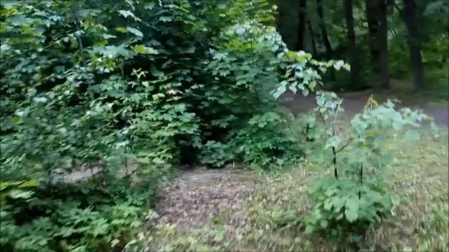 Лосино-Петровский. Городской парк. смотреть онлайн