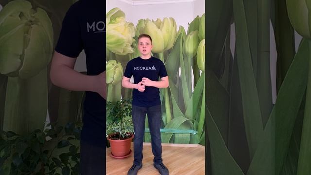 Стих: « Необычайное приключение бывшее с Владимиром Маяковским летом на даче.» смотреть онлайн