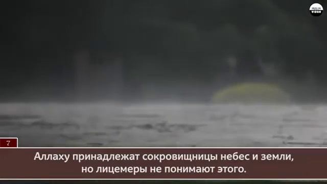 Сура аль-Мунафикун. смотреть онлайн