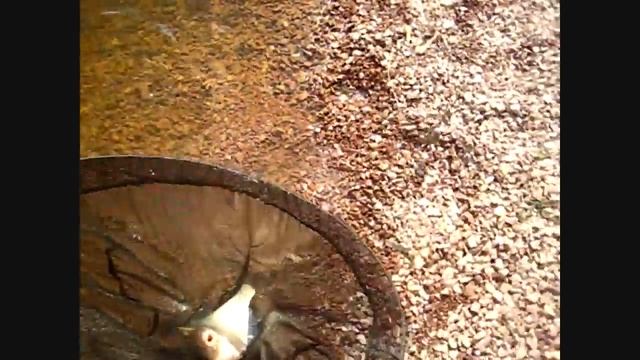 Рыбалка на КиМ в Деденево 2012г смотреть онлайн