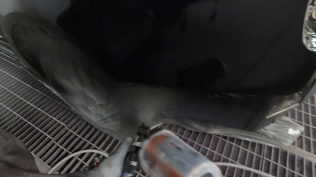 Basecoat Audi A4 смотреть онлайн