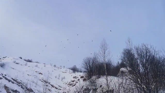карьеры в Губахе. смотреть онлайн