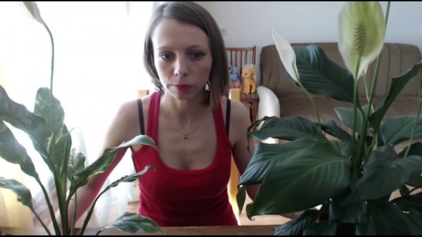 Спатифиллум Spathiphyllum, Женское счастье, уход и выращивание!