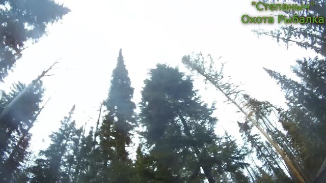 Первый заезд Дела и Обратный путь 09 10 23 смотреть онлайн