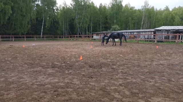 Домашнее задание №6. Гимнастика. смотреть онлайн
