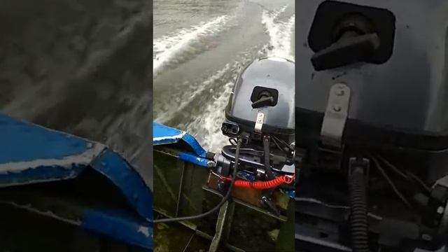 Sea Pro F 9.9s New