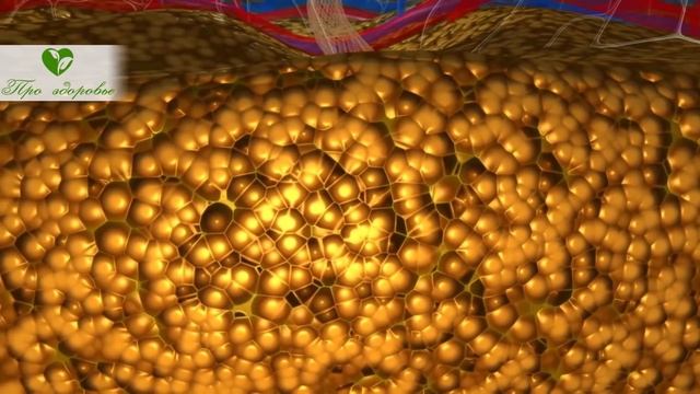 После 50 стали неметь руки во сне! — Бабушка-соседка подсказала копеечное… смотреть онлайн