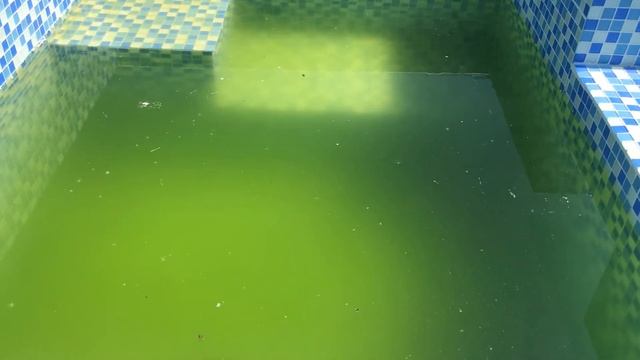Вода зеленеет в мини бассейне, что надо применять, что бы такого не было. смотреть онлайн